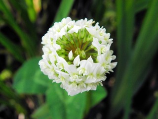 P5017617