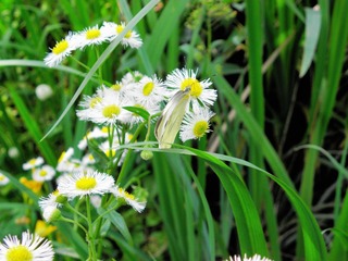P5017609