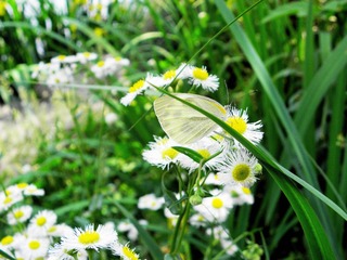 P5017611