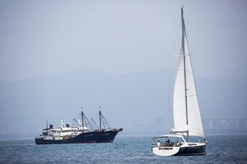 AC6A0809