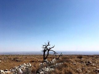 2017-03-08 132803
