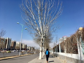 2017-03-07 143259