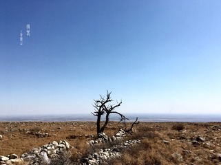 2017-03-08 132803-1