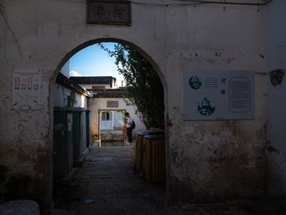 39481