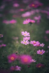 9256D72F-BC64-44A7-9783-1520C0BC0214/L0/001