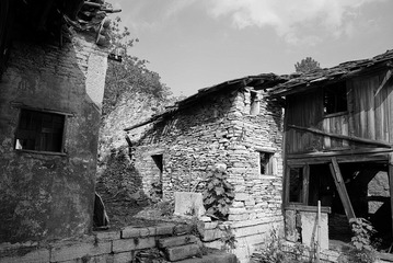 _DSC4003