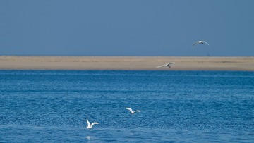 5F986AAE-967D-4636-B1FE-EE348883AD6D/L0/001