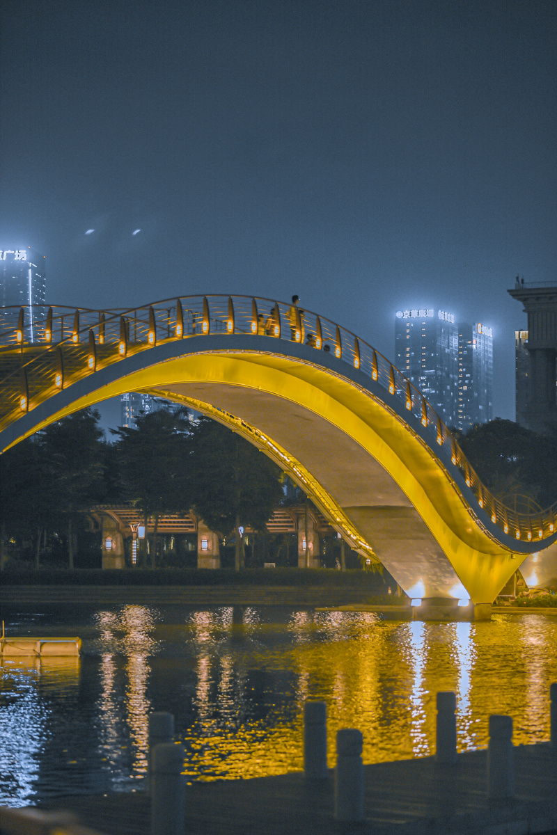 夜幕临千灯湖光碎梦影佛山南海千灯湖