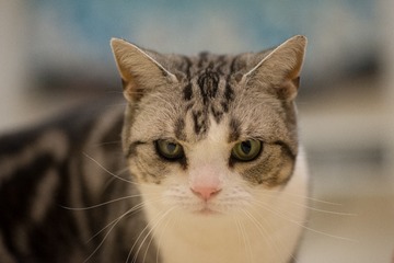 DSC_3165-1