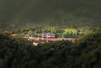 DSC_5566-??-3-??-2