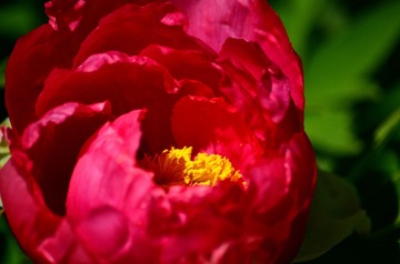 DSC_0056 (2)