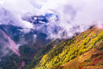 _DSC3933