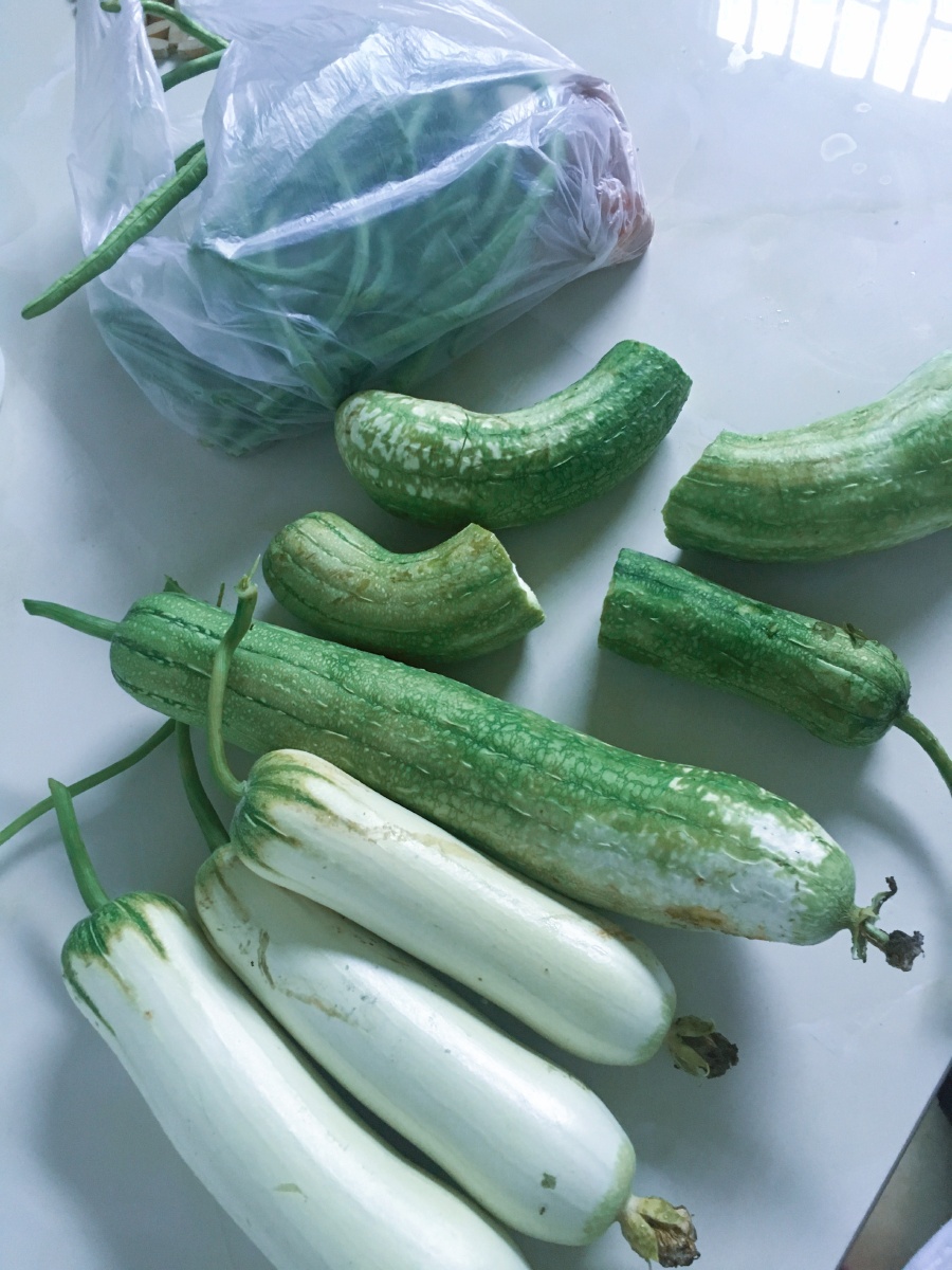 丝瓜又名天罗嵊州当地方言夏季蔬菜家门口随手摘天罗鸡蛋肉丝榨面味道