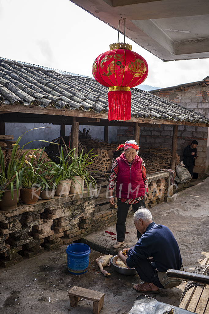 杀鸡宰鸭过大年