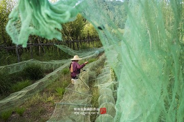 “_DSC0999”