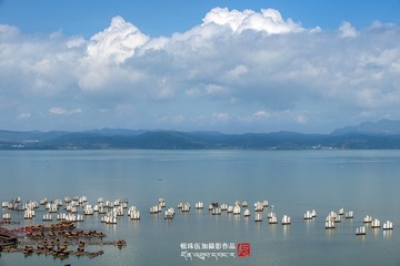 “_DSC2006”