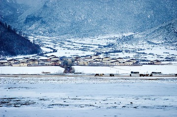 纳帕海的雪