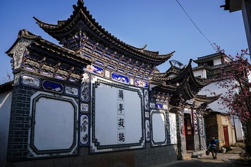 DSC08341=