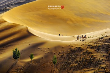 巴丹吉林沙漠