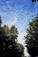6AC613B4-9431-426C-8878-FB4DFB825D7B/L0/001