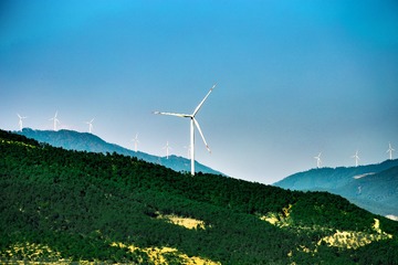 _MG_3037-编辑-2