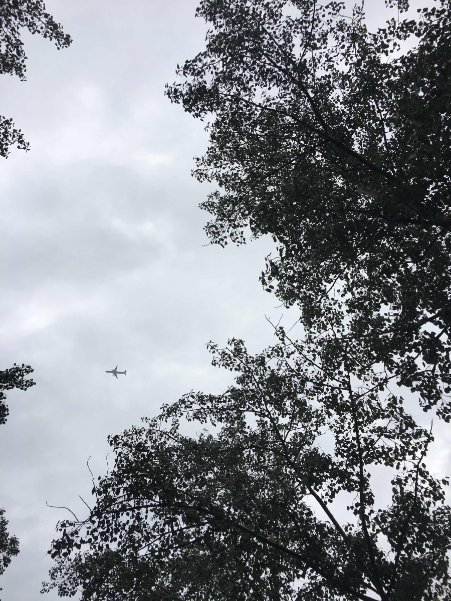 昨天·今天·下雨天 - 城市, 手机, 抓拍, 风光 -