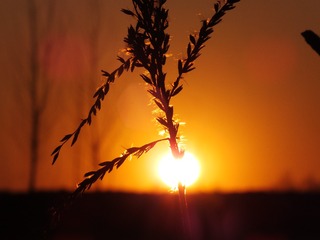 61C1892F-9726-492C-815C-9F16664F2F90/L0/001