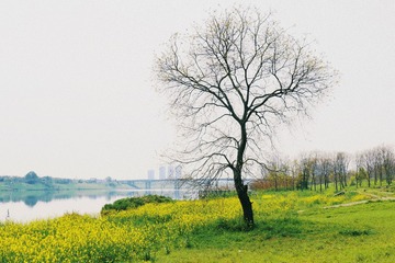 EB76E955-797D-436A-8B9A-15F3F964B6DE/L0/001