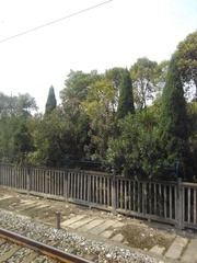 995262