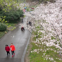 CF1D48B6-2393-4231-B6B8-D9AC58AF11E3/L0/001