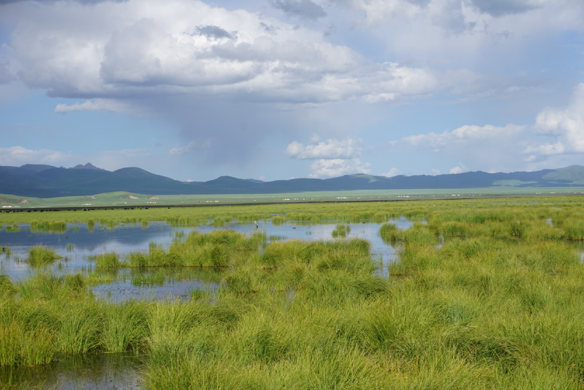 蓝礼 - 风光, 色彩, 索尼, a6000, 草原, 湿地, 若尔