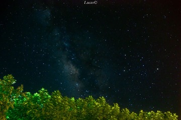 DSC_0460-5(1)