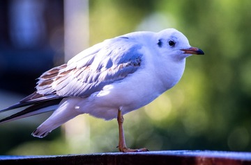 618162