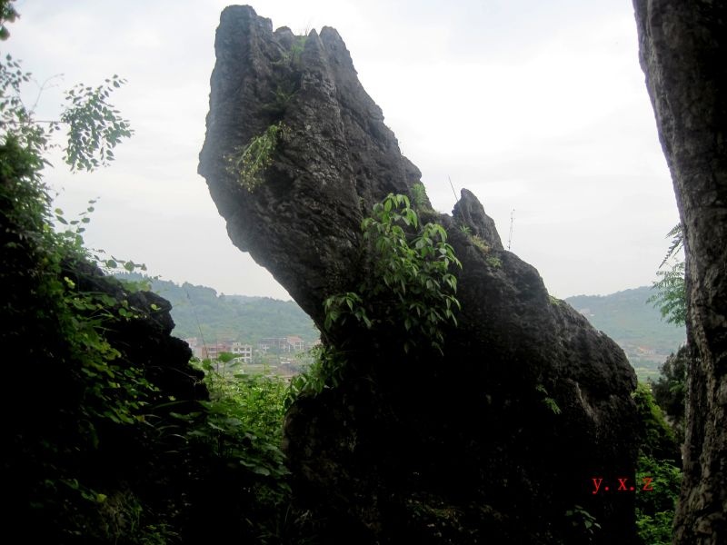 冷水江红日岭石林