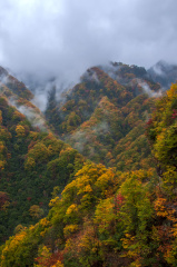 光雾山彩林