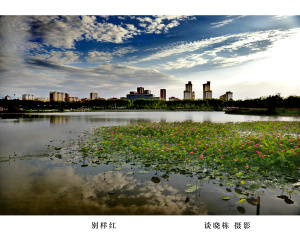 别样红
