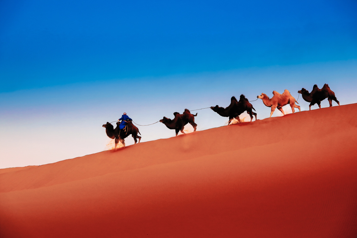 巴丹吉林沙漠驼队风光