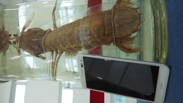 P3130140
