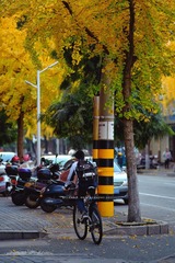 BC8EFCB9-85CA-41AA-A3D4-9F9CEE1629D0/L0/001