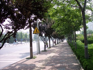100_7759