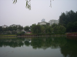 100_7849