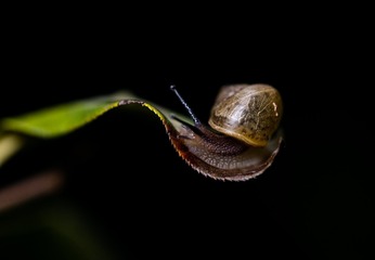 734A0521-编辑