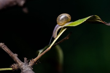 734A0531-编辑