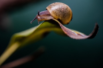734A0226-编辑