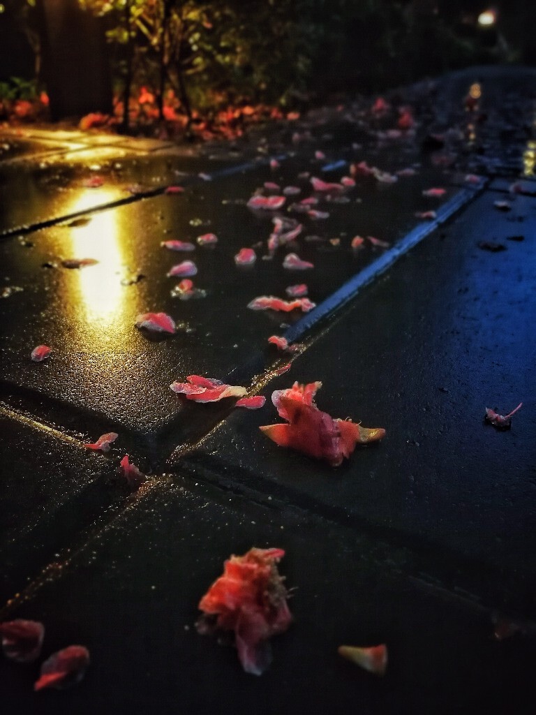 等那繁花落尽<br />
铅华却已成空