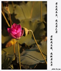 错过
