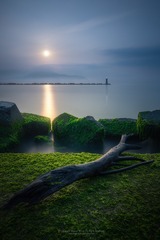 家乡的那片海