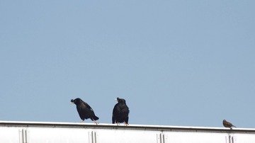 IMG_20160512_092012