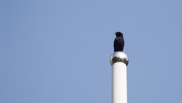 IMG_20160512_090732