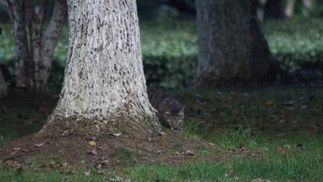 IMG_20160511_194727